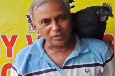 In Telangana, This Kadaknath Chicken Listens To Its Owner And Walks As Instructed