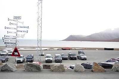 Polar Bear Kills Dutch Man In Norway's Arctic Svalbard Archipelago