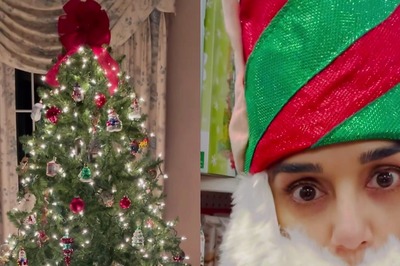 Preity Zinta Turns Into Santa Claus to Wish Fans a Happy Holiday, Watch Her Festive Christmas Clip