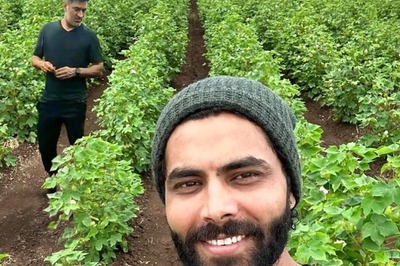 CSK's Edited Picture Showing MS Dhoni & Ravindra Jadeja in a Farm Takes Social Media by Storm