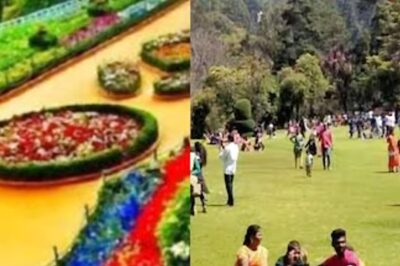 Government Botanical Garden In Tamil Nadu Gears Up For An Impressive Flower Show