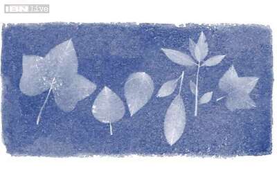 Anna Atkins: Google doodles 216th birthday of English botanist, photography pioneer