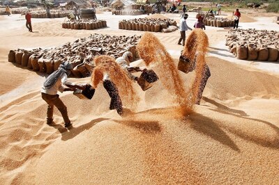 No Plan To Import Wheat; We Have Sufficient Stock To Meet Domestic Requirements: Govt