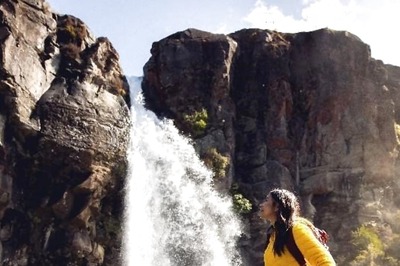 Nature's Masterpieces: Discover New Zealand's 6 Most Breathtaking Waterfalls
