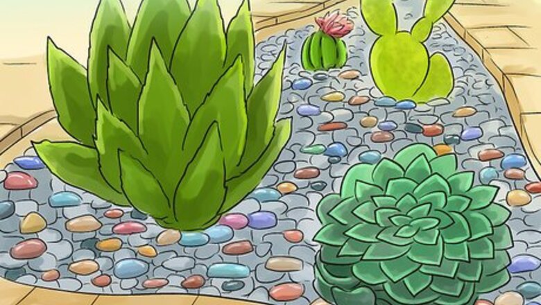 How to Propagate Succulents (Without Rooting Hormones)