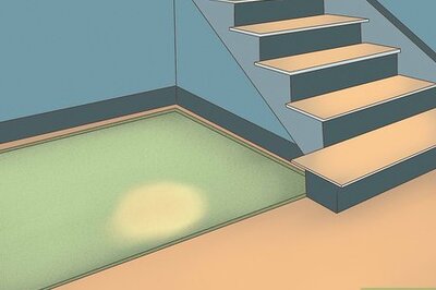 How to Remove Pet Stains and Odors from Carpet with a Steam Cleaner