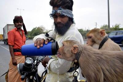 Science-Wise: Climate Change is Fueling More Heatwaves But Our Lifestyle Choices Are Making It Worse