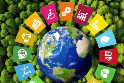 Sustainable Practices in the Beverage Industry: From Grain to Glass