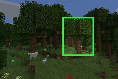 How to Plant Trees in Minecraft