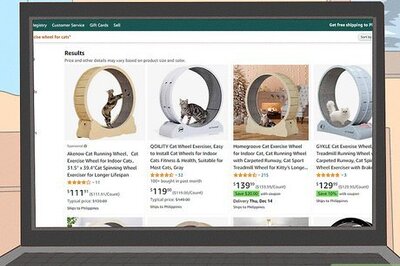 How to Get an Exercise Wheel for Your Cat