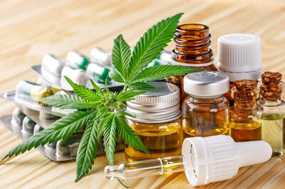 Is Medical Cannabis Beneficial For The Treatment Of Sleep Disorders? Find Out