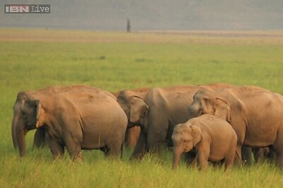 Corbett Tiger Reserve gets new eco-tourism centre