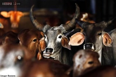 Chennai: DK to hold 'Beef banquet' to protest against ban on cow slaughter, beef-eating