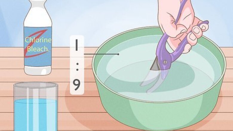How to Prune a Cherry Tree