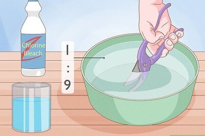 How to Prune a Cherry Tree