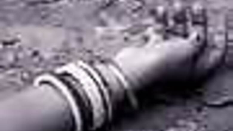 Haryana couple opposed by their families dead