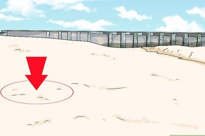 How to Build a Sand Castle