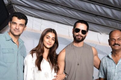 Pooja Hegde Joins Shahid Kapoor's Next Thriller, Calls It 'Special'