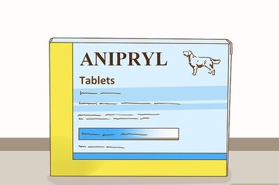 How to Manage Cognitive Dysfunction in Senior Dogs