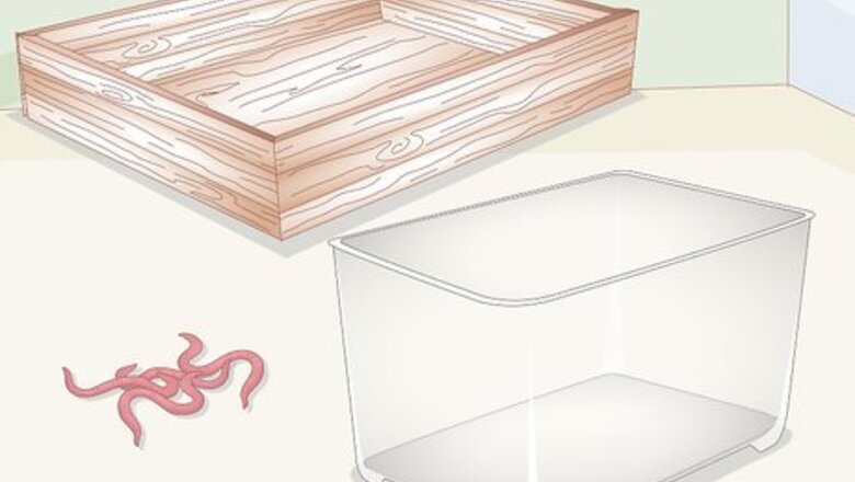 How to Breed Worms
