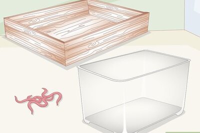 How to Breed Worms