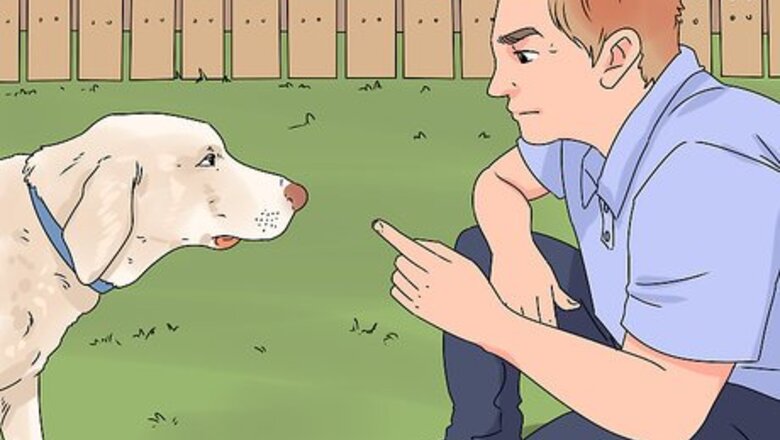 How to Train a Dog