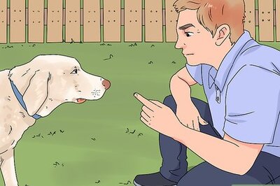 How to Train a Dog