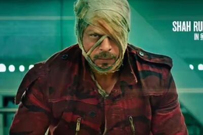 Shah Rukh Khan's Jawan, Pathaan And Dunki Surpass Earnings Of All Tamil, Telugu Films Combined