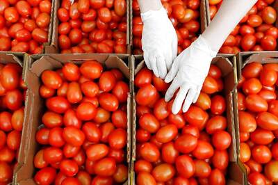 After Onion, Now Tomato Prices Soar Up to Rs 80/kg in Delhi