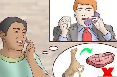 How to Work to Stop Horse Slaughter