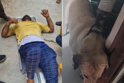 Hyderabad: Food Delivery Boy Jumps off 3rd Floor to Escape Pet Dog Attack; Critical