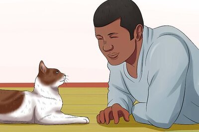 How to Carry a Cat