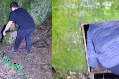 Watch: On Walk In Forest, Man Discovers A Hidden Underground Tunnel