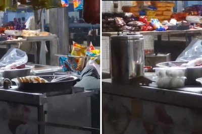 Shocking: Rats Spotted Feeding On Open Food At IRCTC Stall In Viral Video