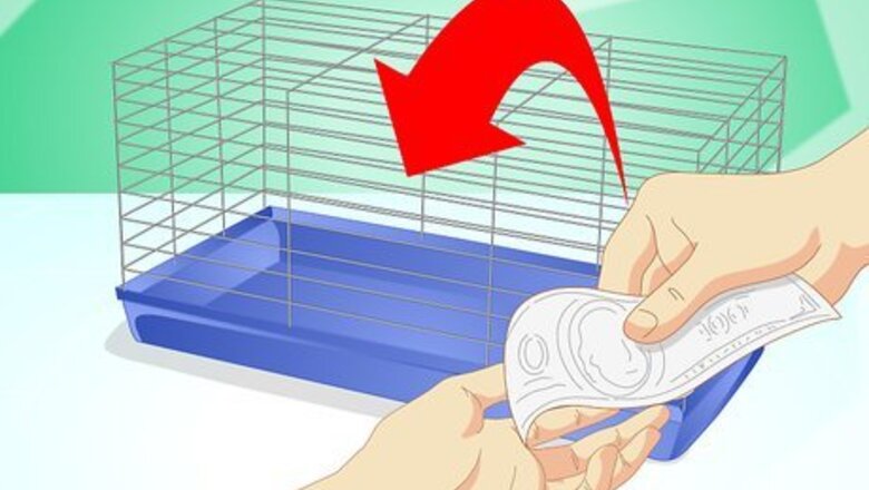 How to Create a Habitat for a Hamster