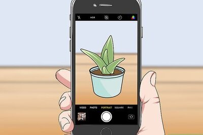How to Take Blurry Pictures