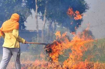 Tis The Season: 'Good Air' Days in Delhi to End Soon As Stubble Burning Begins in Punjab