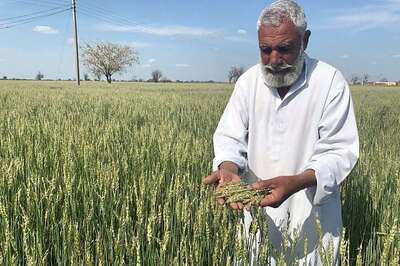 How Extreme Weather Conditions and Growing Population Drive Pakistan Toward a Wheat Crisis