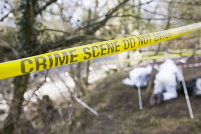 New York Police Sergeants Shot, 1 Killed; Suspect Dead