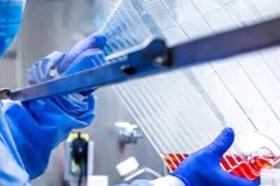 Can Ashwagandha Aid Protection by Covid Jab? No Tall Claims, Testing After Scientists' Nod: AYUSH Official