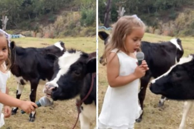 Watch: Kid Places Mic In Front Of Cow's Mouth, Here's The Result