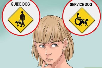 How to Become a Puppy Raiser