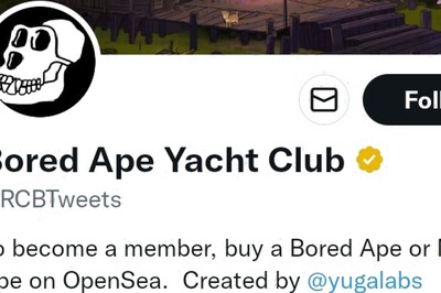 IPL Franchise RCB Twitter Account Hacked, Renamed To 'Bored Ape Yacht Club'