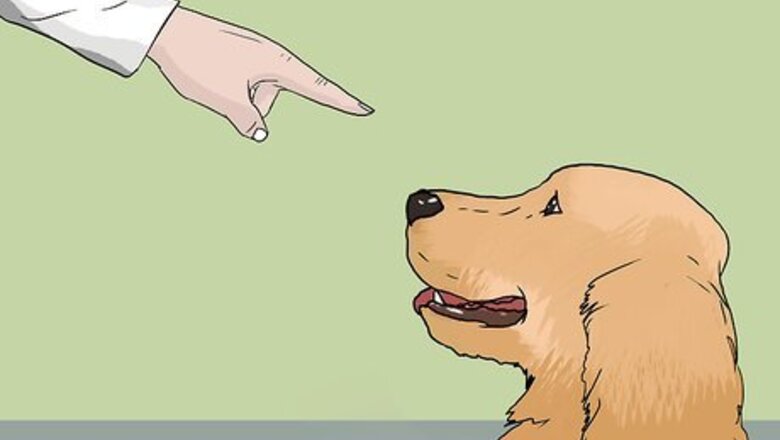 How to Prepare Your Dog for Your New Baby