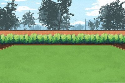 How to Play Squid Game