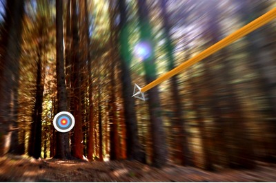 Shillong Lottery Result 2021: Shillong Teer Results for August 12; Check Timings, Other Details