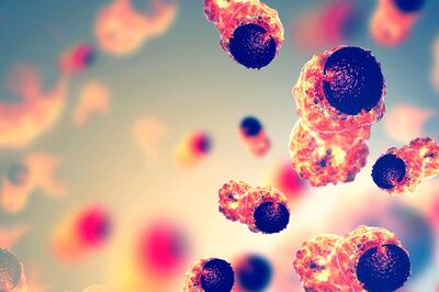 In Boost to India's Covid Fight, 2 Vaccines, Covovax & Corbevax, and 1 Anti-Viral Pill Cleared in a Single Day