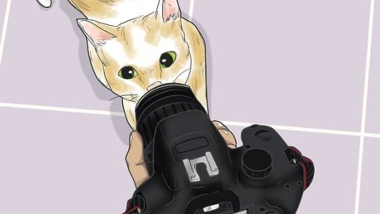 How to Photograph Pets