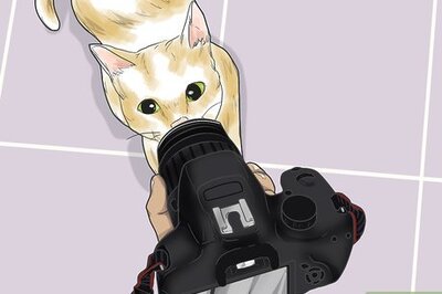 How to Photograph Pets