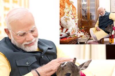 PM Modi Welcomes 'New Member' At Lok Kalyan Marg Residence: 'Deepjyoti Is Truly Adorable' | Watch